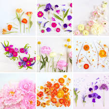 Maybe you would like to learn more about one of these? Digital Blooms Archives Justinecelina