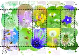 Beleef De Natuur Veldbloemen Voorjaar 2e Van Vier Seizoenen Postzegels Nederland Seizoenen