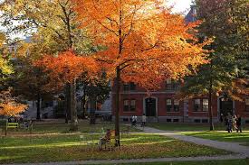 Colors In The Yard Autumn Scenery East Coast Travel Fall Colors