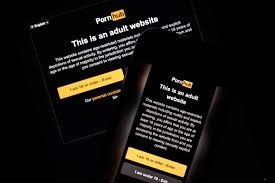 How to unblock Pornhub for free - Sex & Relationships