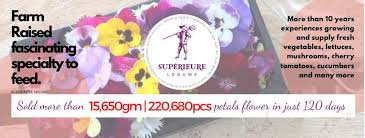 Send flowers to anywhere in south africa with domestic offices all over, delivering flowers on time with netflorist is never a problem. Superieure Legume Posts Facebook