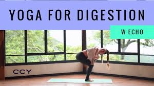 Cole Chance Presents Yoga For Digestion With Echo Flow Yoga Youtube