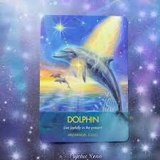 Dolphin Live Joyfully In The Present Archangel Animal Oracle Cards By Diana Cooper Video Oracle Cards Oracle Card Reading Angel Cards