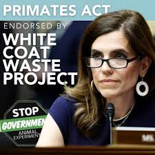 Our PRIMATES Act is endorsed by White Coat Waste 🎉 READ more at  Mace.House.Gov/PRIMATESAct