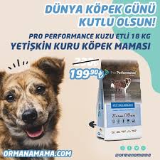 Pro Performance Kuzulu Yetiskin Kopek Mamasi 18kg