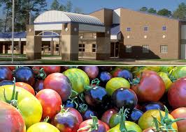 Alachua County Farmers Market Nutrition Program Wic Clinic Market