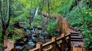 Istanbul sile agva adalar turu 370lira ankara cikisli gunubirlik ve konaklamali doga ve kultur turlari. Ankara Cikisli Gunubirlik Duzce Selaleleri Turu Gidiyoruz Com