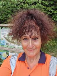 The beautiful robins at Mules park 😍 🥹🐦🐦💗