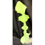 Image result for Euphorbia bougheyi