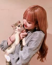 Where You Meet Today S K Pop Celohfan Gambar Artis Fandom