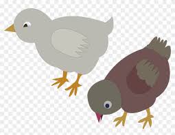 Dibawah ini merupakan sebagian mewarnai gambar telur yang dapat anda simpan atau cetak untuk menjadi bahan mewarnai anak ataupun murid disekolah. Gambar Anak Ayam Kartun Belajar
