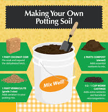 Good Housekeeping Hearst Potting Soil Potting Mix Succulent Soil