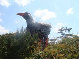 「ヤンバルクイナ 展望台」の画像検索結果