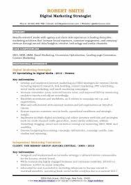Digital Marketing Resume Example Famous Digital Strategy Resume Seven Important Facts That Yo Business Analyst Resume Customer Service Resume Business Analyst
