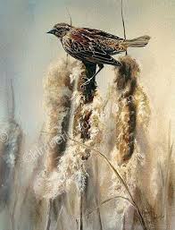 Early Spring Female Red Winged Blackbird Black Bird Birds Painting Watercolor Bird