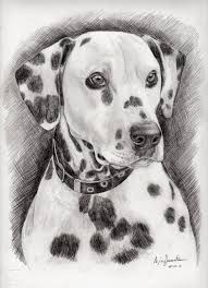 Disegni A Matita Tristi Animal Drawings Dog Artist Pencil Drawings Of Animals