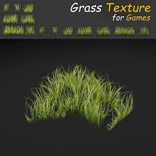 Grass Patch Textures For Games 3d Model Grass Grass Patch Grass Textures