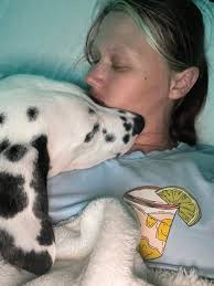 Layla is have a very important message about the Coronavirus￼ this  morning.. she is saying f*** the virus I need to go outside and play! Mommy  won't let me