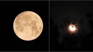 We did not find results for: Harvest Moon 2020 Photos And Video Gorgeous Full Moon Graces The Night Skies In October Zee5 News