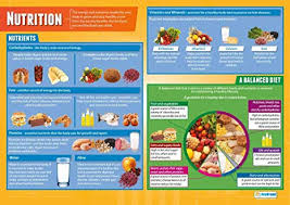 amazon com nutrition pshe posters gloss paper measuring