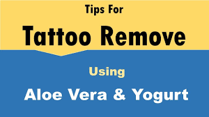 How long does it take to remove a tattoo? How To Use Aloe Vera And Yogurt Tattoo Removal Youtube