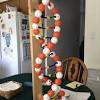 Dna molecules contain instructions for building every living organism on earth, from the tiniest bacterium. 1