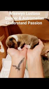 Héctor Briz Sánchez