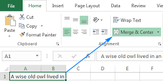 Dear ms teams teams (lol): How To Wrap Text In Excel Automatically And Manually