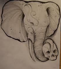 30+ ideas for tattoo elephant skull. Elephant Drawing By Johan887766 On Deviantart