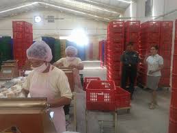 Karyawan pabrik roti di semampir, kediri kab., jawa timur ✓ cari di antara 18.900+ lowongan kerja terbaru ✓ pekerjaan penuh waktu, sementara dan . Jordan Bakery Banyuwangi Banyuwangi Jawa Timur Indonesia Wholesale Bakery Facebook