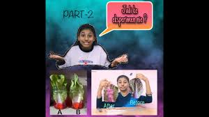 Senarai eksperimen, aktiviti dan bahan matapelajaran : Eksperimen Biologi Tingkatan 5 Part 2 Youtube