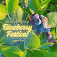 Blueberry Festival at Wildside Winery