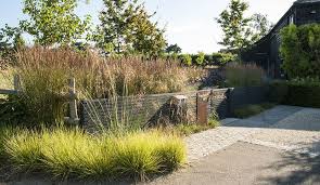 Pin On Garden Design