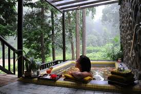 Image result for danum valley borneo
