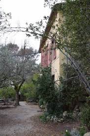 Pin On Gardens