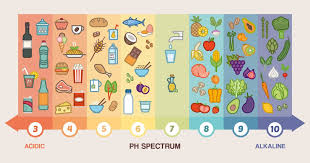 The Celebrity Diet Trend That Actually Has Some Science Behind It Alkaline Foods Celebrity Diets Alkaline Diet