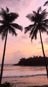 We did not find results for: Summer Sunset Girly Wallpapers Novocom Top