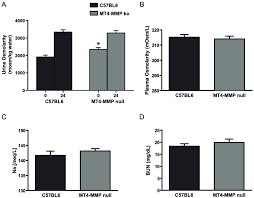 Mt4 Mmp Null Mice Have Increased Urine Osmolarity Compared To Control Download Scientific Diagram