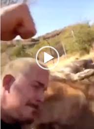 Now it is the turn of dean schneider, in my opinion a narcissist of gargantuan proportions, not only cavorting with lions, he also has a hyena, 'wolf' & monkeys. Dean Schneider 911 Animal Abuse
