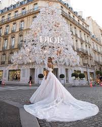 Wedding Dress Manolo From New Collection Love In Paris By Victoria Soprano French Wedding Dresses Bra Dior Wedding Dresses French Wedding Dress Wedding Dresses