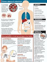 Los rotavirus se propagan claro entre los bebés y los niños pequeños. Bronquiolitis Y Rotavirus Enfermedades Que Ponen En Riesgo La Salud De Los Chicos Diario Democracia