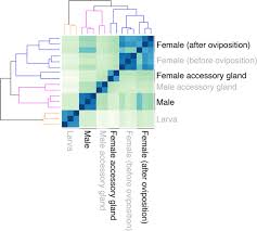 At 12mm (1/2 inch) long, it is the largest purely terrestrial animal on the continent. Multi Level Analysis Of Reproduction In An Antarctic Midge Identifies Female And Male Accessory Gland Products That Are Altered By Larval Stress And Impact Progeny Viability Scientific Reports
