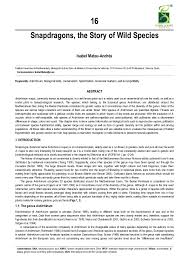 PDF) Snapdragons, the Story of Wild Species