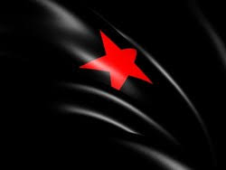 Anonymous has already targeted official websites in the countries that have signed acta. Anonymous Mexico Hits Defense Ministry In Support Of Zapatistas Infosecurity Magazine