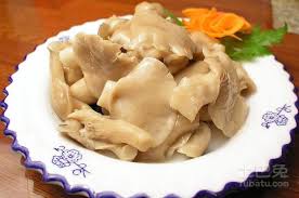 Birch polypore 北美白灵芝/为什么民间称它为白灵芝？怎样识别这种有非常强大药用功能的野生灵芝？树上也有抗生素。 übersetzung in deutsche lernen sie englisch mit . ç™½éˆèŠæ€Žéº¼åƒ ç™½éˆèŠåƒæ³•å¤§å…¨ æ¯æ—¥é ­æ¢
