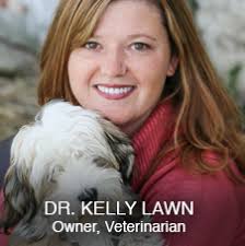 Large and Small Animal Services