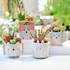 We did not find results for: Cute Cartoon Animal Corgi Shaped Ceramic Succulent Cactus Flower Plant Pot Planter For Home Garden Office Desktop Decorative Buy Animal Shaped Flower Pot Ceramic Flower Pot Cartoon Flower Pot Product On Alibaba Com
