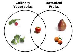 whats the difference between a fruit and a vegetable