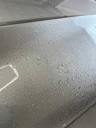 Image result for Florett Silver 2018 SQ5