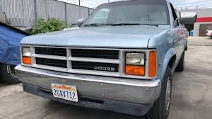 Image result for Dakota Beige 1987 Colt